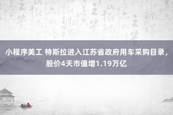   小程序美工 特斯拉进入江苏省政府用车采购目录，股价4天市值增1.19万亿