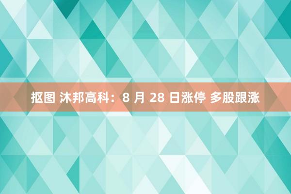 抠图 沐邦高科：8 月 28 日涨停 多股跟涨