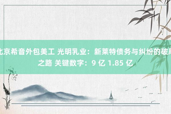 北京希音外包美工 光明乳业：新莱特债务与纠纷的破局之路 关键数字：9 亿 1.85 亿