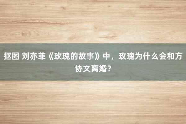 抠图 刘亦菲《玫瑰的故事》中，玫瑰为什么会和方协文离婚？