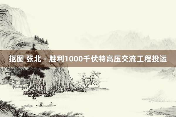   抠图 张北－胜利1000千伏特高压交流工程投运