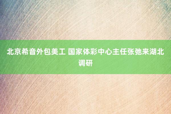 北京希音外包美工 国家体彩中心主任张弛来湖北调研